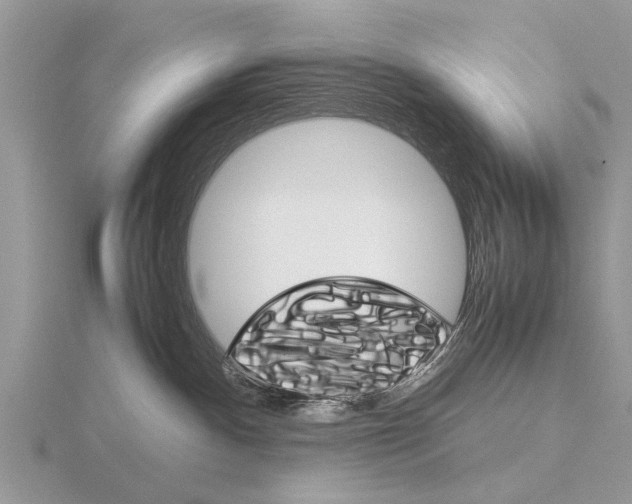 X0000115700140200912101223