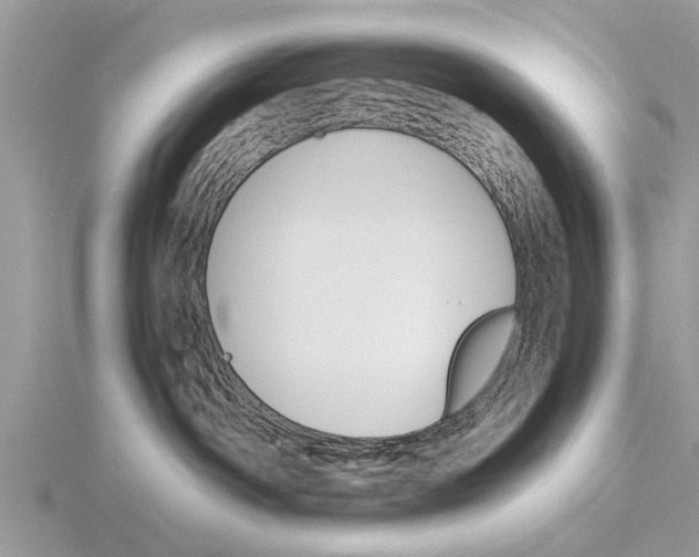 X0000115700142200912101223