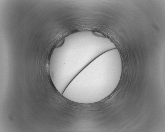 X0000115700143200912101223