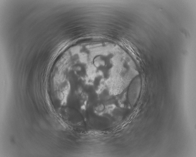 X0000115700145200912101223