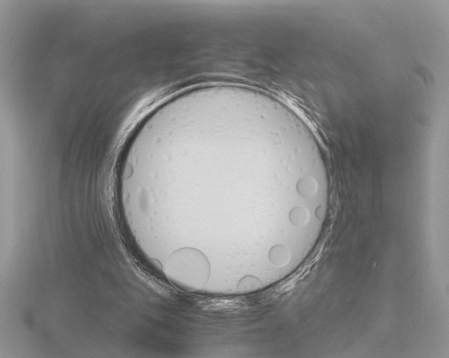 X0000115700151200912101223