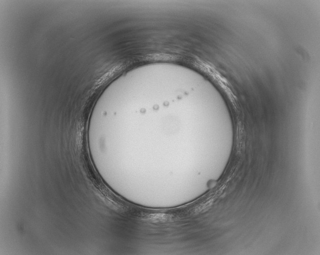 X0000115700153200912101223