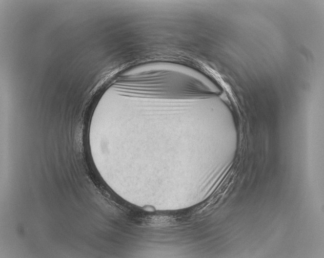 X0000115700154200912101223