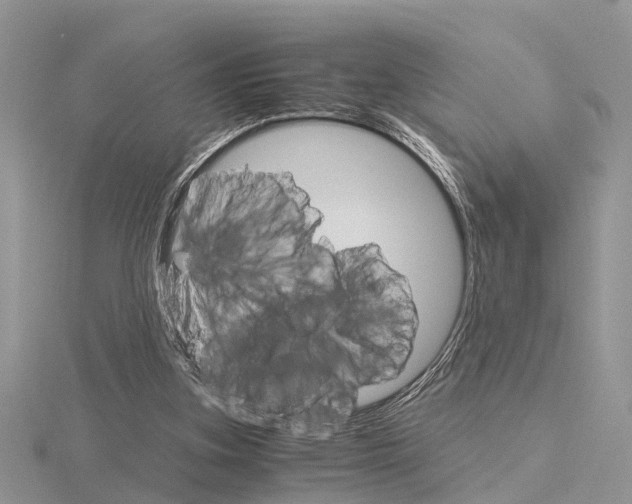 X0000115700155200912101223