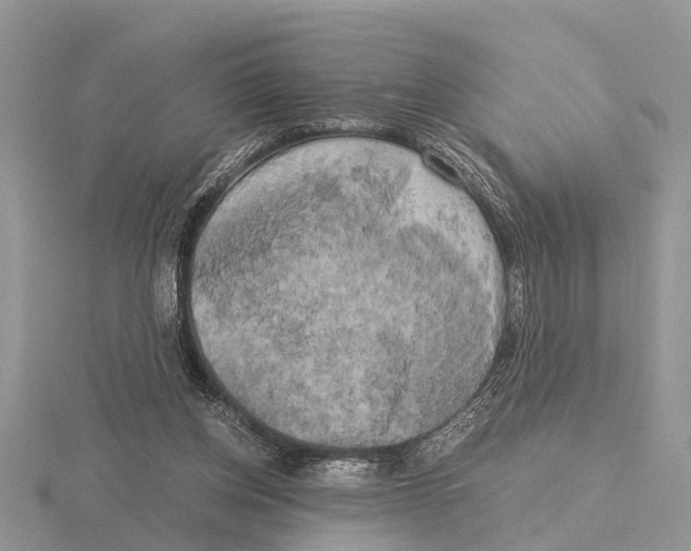 X0000115700158200912101223