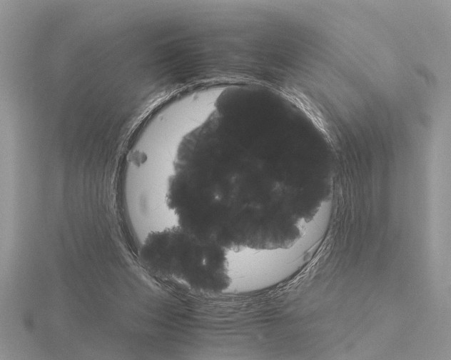 X0000115700159200912101223