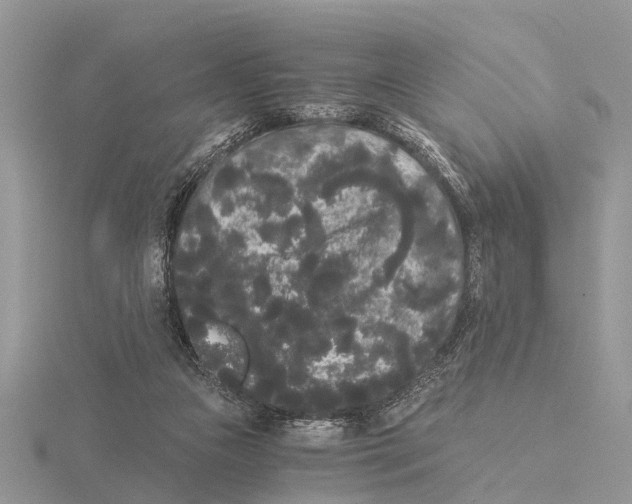 X0000115700161200912101223