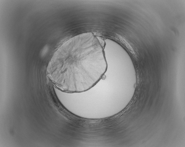 X0000115700163200912101223