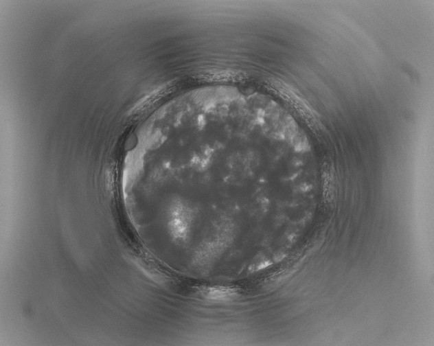 X0000115700165200912101223