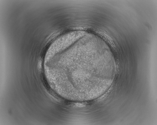 X0000115700166200912101223