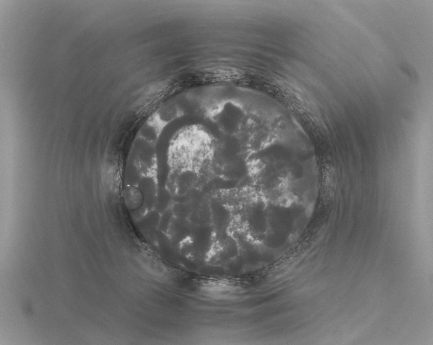 X0000115700177200912101223