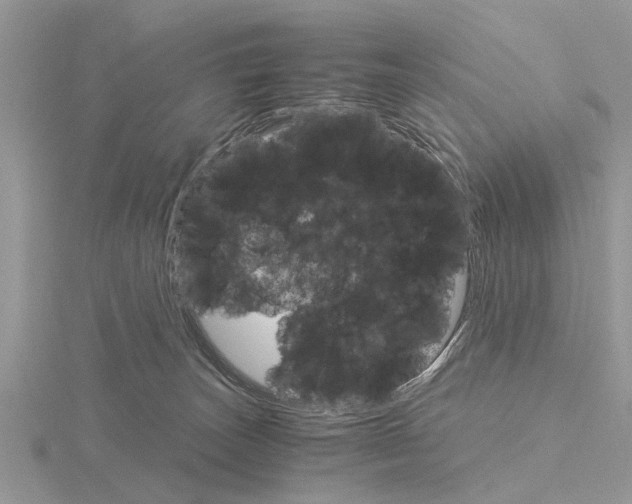 X0000115700179200912101223