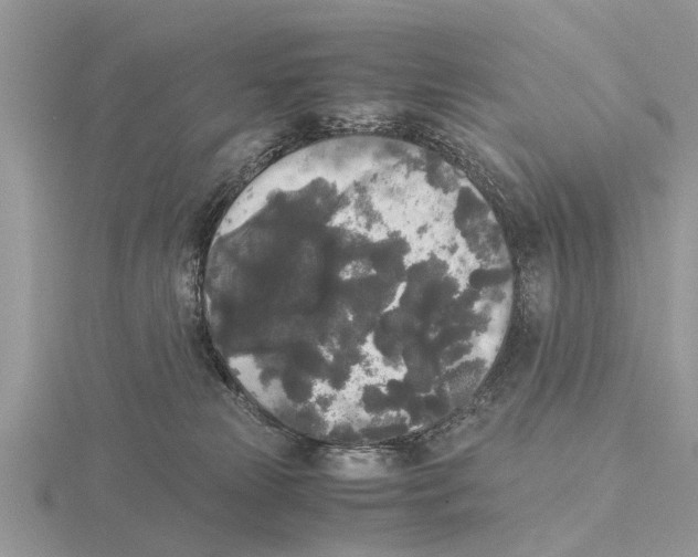 X0000115700181200912101223