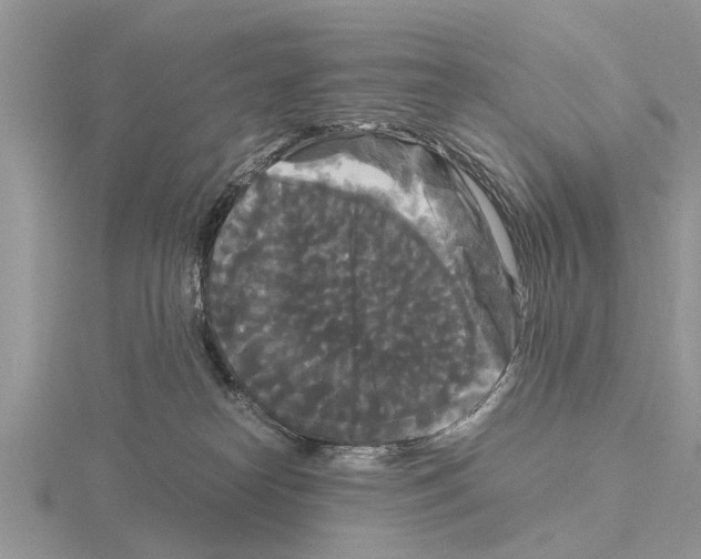 X0000115700182200912101223