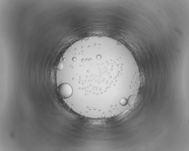 X0000115700187200912101223