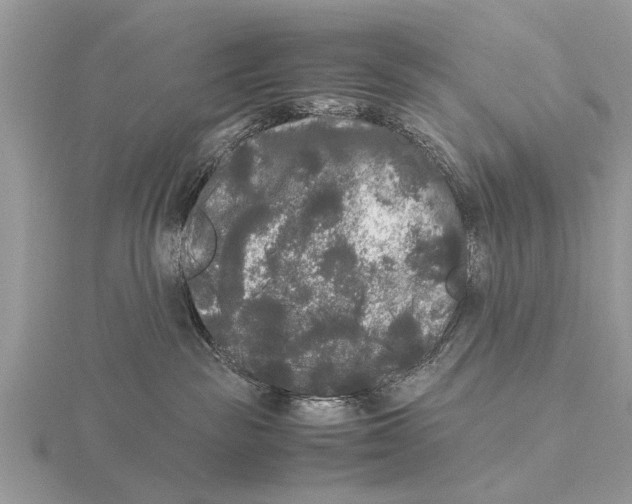 X0000115700189200912101223