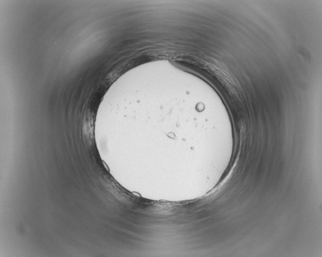 X0000115700190200912101223