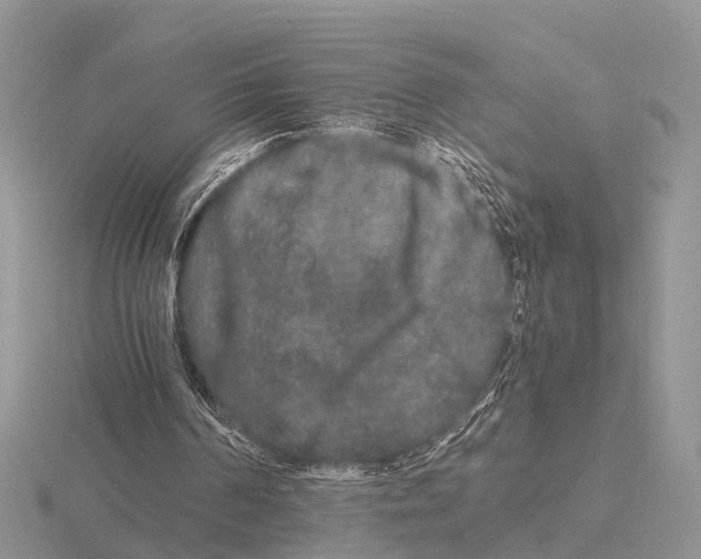 X0000115700194200912101223