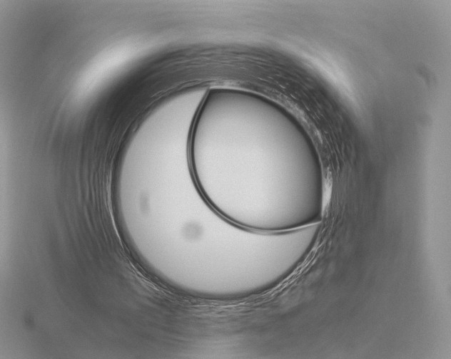 X0000115700195200912101222