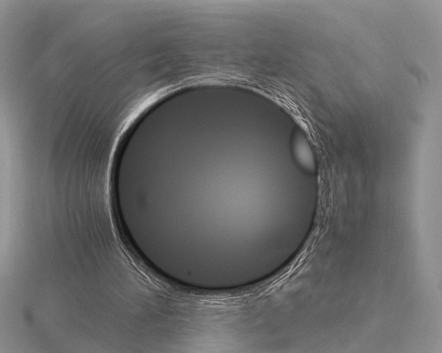 X0000115700196200912101222