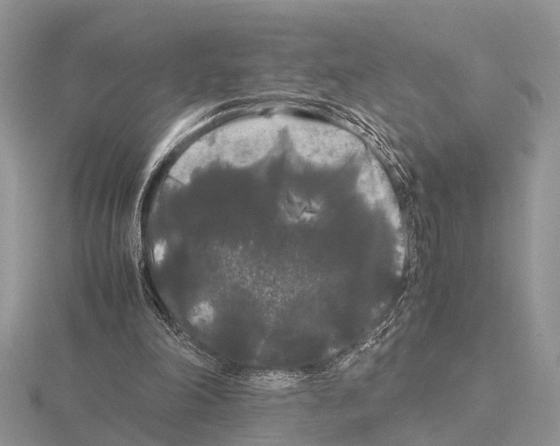 X0000115700198200912101222