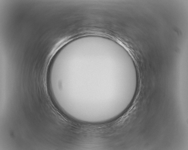 X0000115700199200912101222