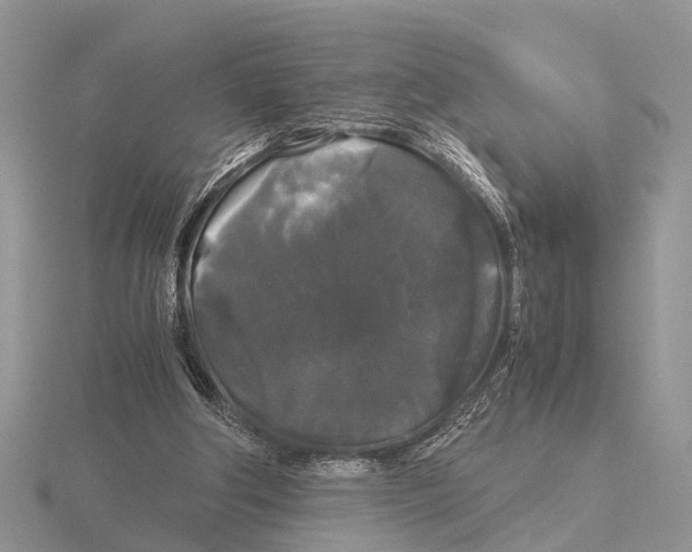 X0000115700202200912101222