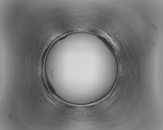 X0000115700203200912101222