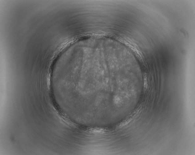 X0000115700206200912101222