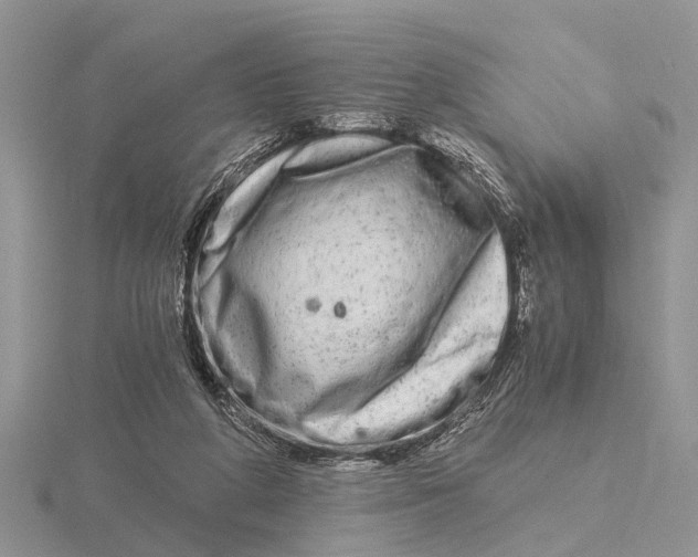 X0000115700210200912101222