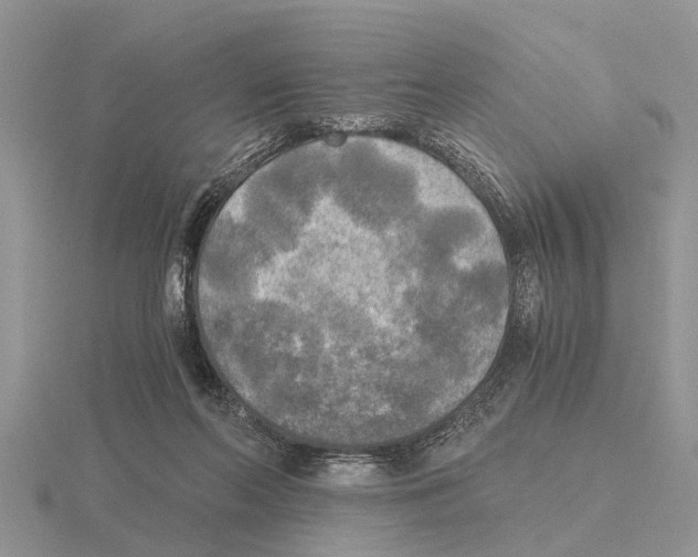 X0000115700214200912101222