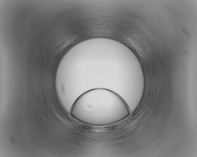 X0000115700215200912101222