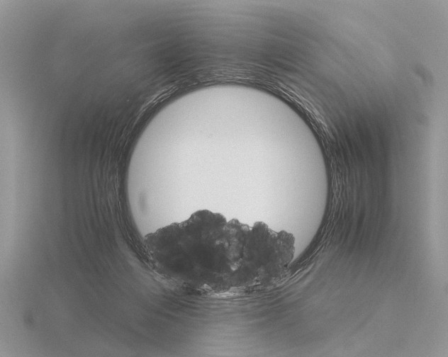 X0000115700216200912101222