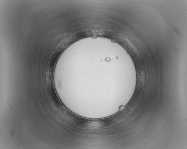 X0000115700218200912101222