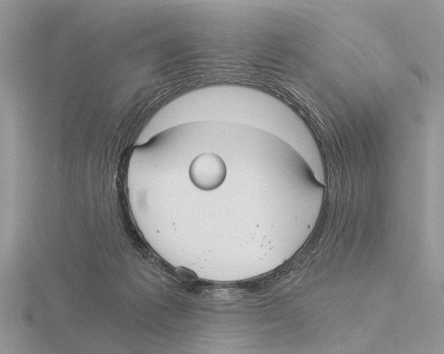 X0000115700221200912101222