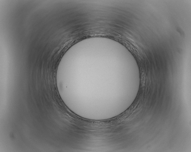 X0000115700224200912101222