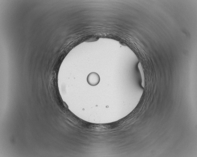 X0000115700229200912101222