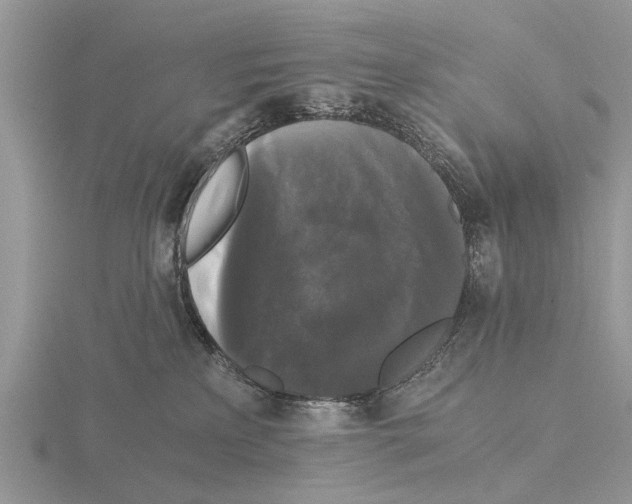 X0000115700233200912101222