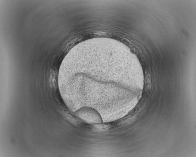 X0000115700234200912101222