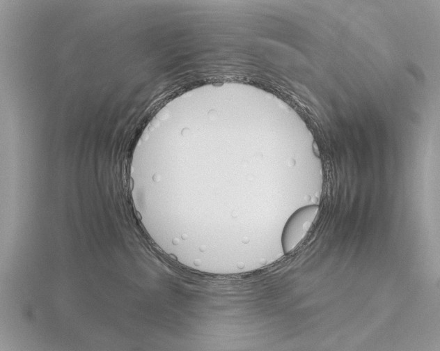 X0000115700236200912101222