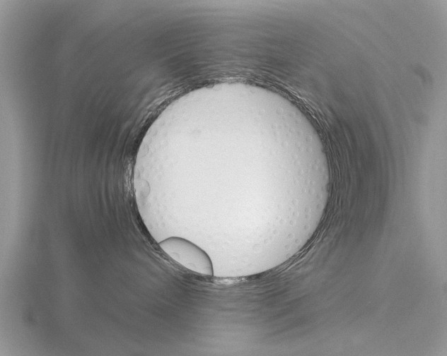 X0000115700240200912101222