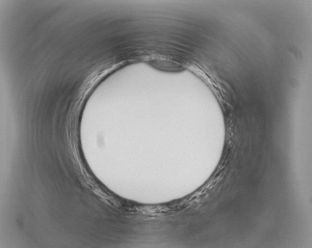 X0000115700241200912101221