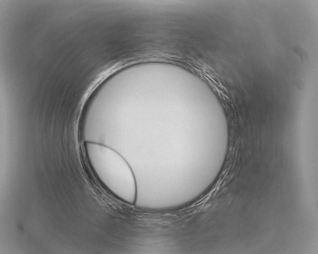 X0000115700244200912101221