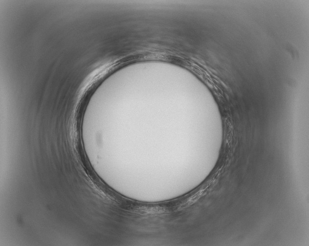 X0000115700245200912101221