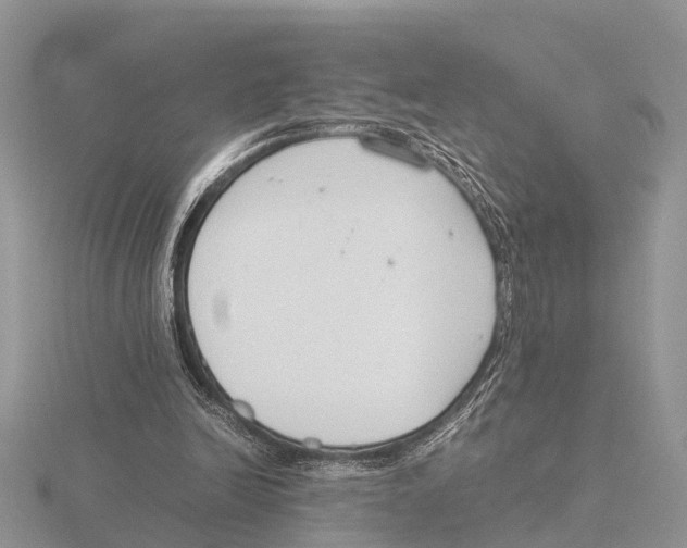 X0000115700246200912101221