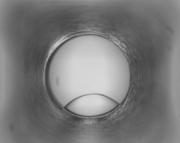 X0000115700248200912101221