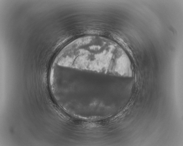 X0000115700249200912101221