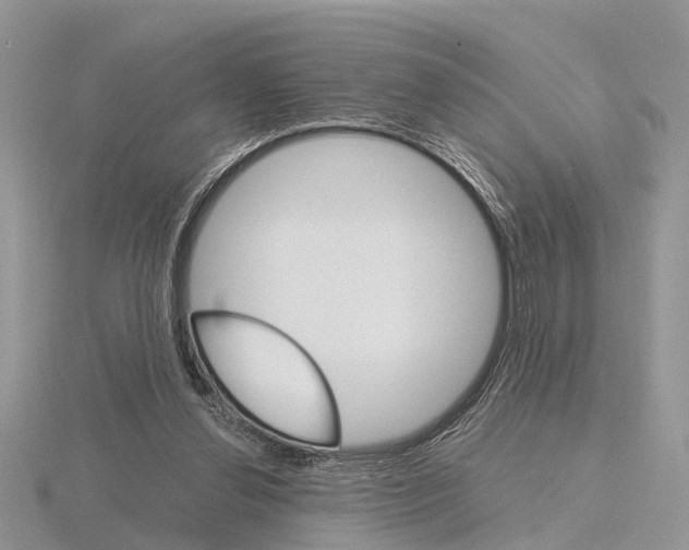 X0000115700252200912101221