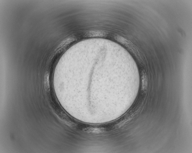 X0000115700254200912101221