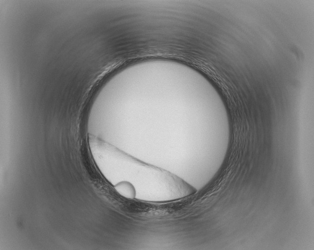 X0000115700256200912101221